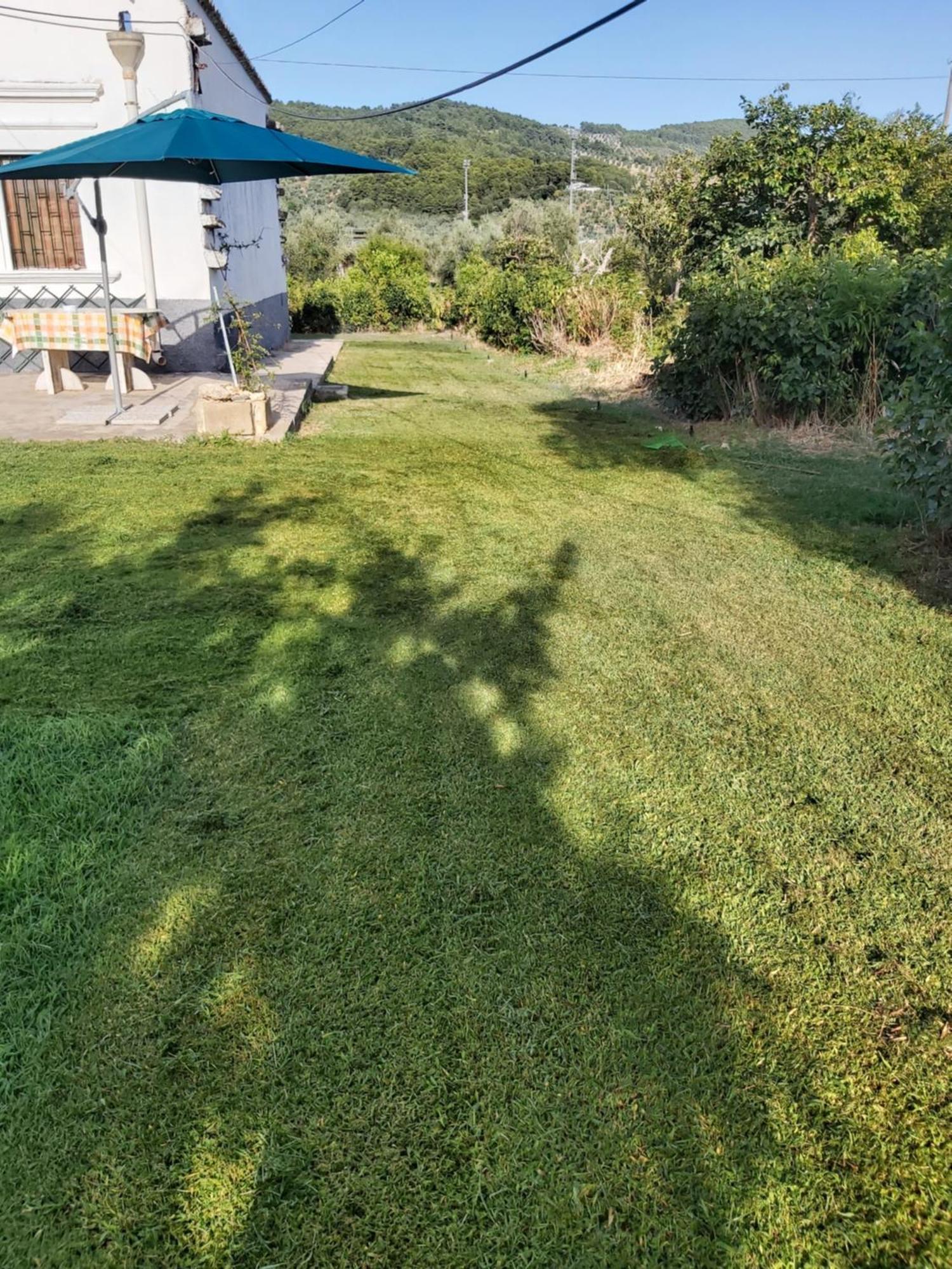 Casa Colonica Di Campagna Come Era Una Volta Villa Peschici Room photo